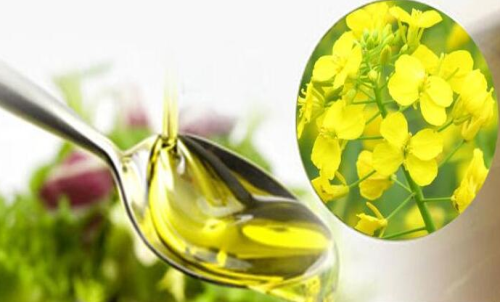 菜粕期貨買入手續費支出額度低嗎？