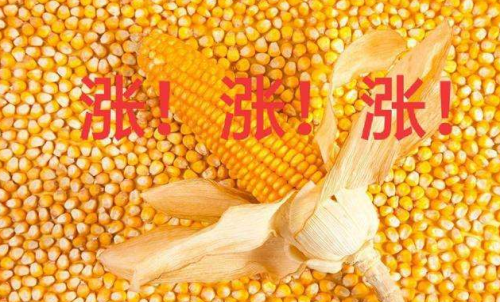 玉米期貨開戶要驗資嗎？為何不能買