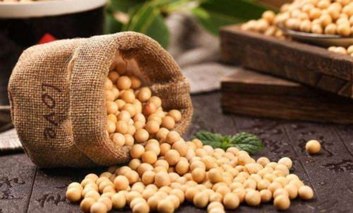 什么是豆粕期貨？豆粕期貨標(biāo)的物介