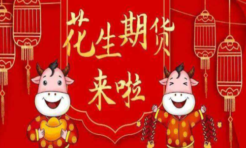 花生期貨的手續費是多少？花生適合